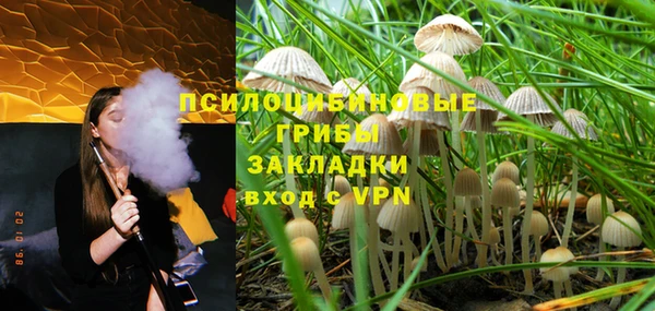 индика Нягань