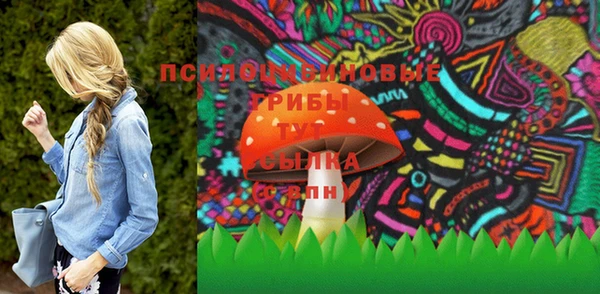 ешки Абинск