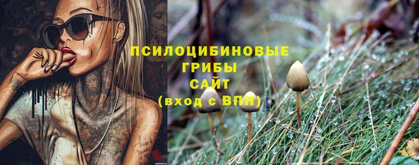 ешки Абинск