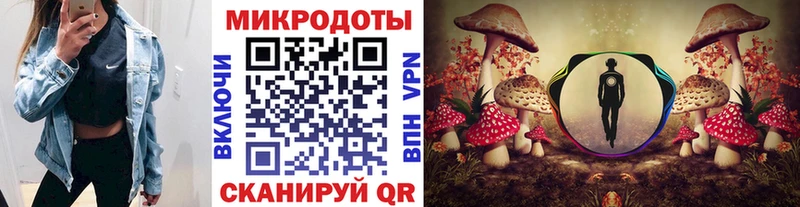 Галлюциногенные грибы Psilocybe Ялта