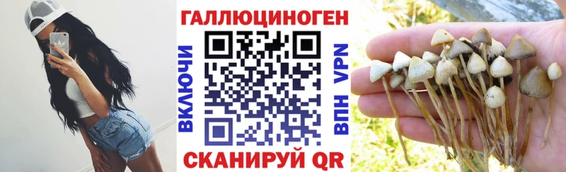 Галлюциногенные грибы Magic Shrooms  Ялта 