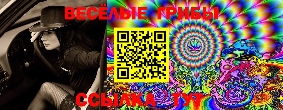 Галлюциногенные грибы Psilocybe  Вход с VPN  Ялта  закладка  Псилоцибиновые грибы Magic Shrooms 